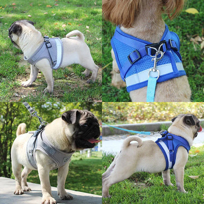 Pet Dog Harness and Leash Set Puppy Cat Chest Strap Reflective for Small Medium Dogs Cat Harnesses Vest Pug Chihuahua Bulldog