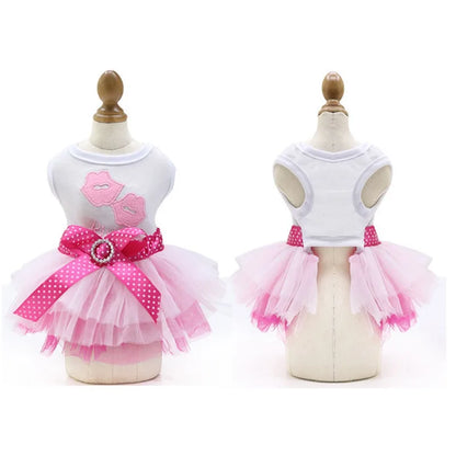 Sweet Dog Princess Dress for Small Dogs Spring Autumn Summer Puppy Dog Lace Tutu Dress Chihuahua Dog Skirt Pet Apparel Dog Dress