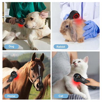 Portable Equine LLLT Laser Therapy for Dogs at Home Low Level Healing Laser for Pets Laser for Sports Injury Healing Relief