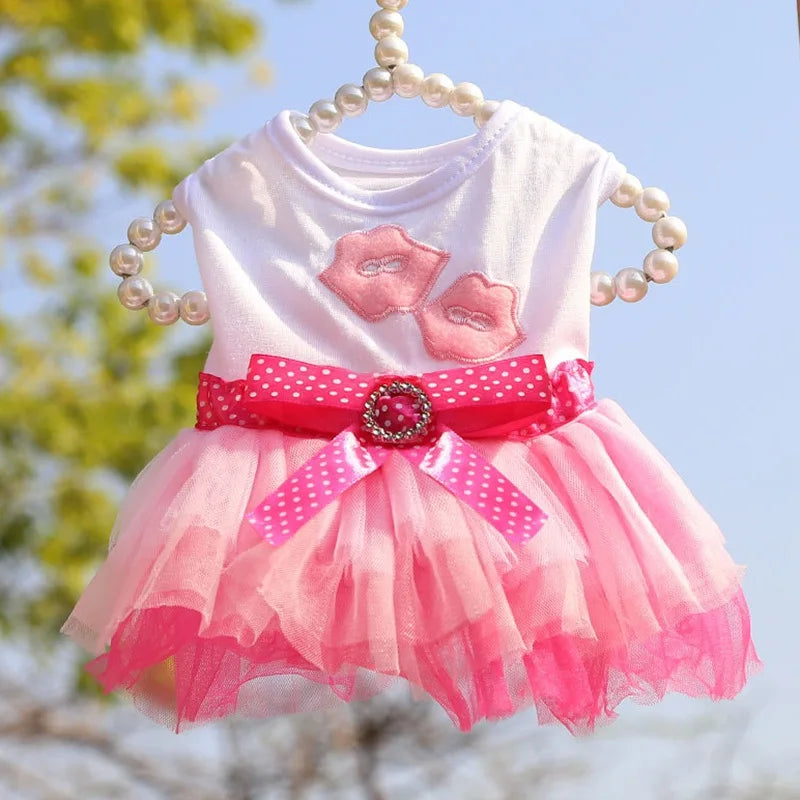 Sweet Dog Princess Dress for Small Dogs Spring Autumn Summer Puppy Dog Lace Tutu Dress Chihuahua Dog Skirt Pet Apparel Dog Dress