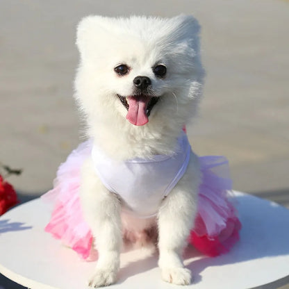 Sweet Dog Princess Dress for Small Dogs Spring Autumn Summer Puppy Dog Lace Tutu Dress Chihuahua Dog Skirt Pet Apparel Dog Dress