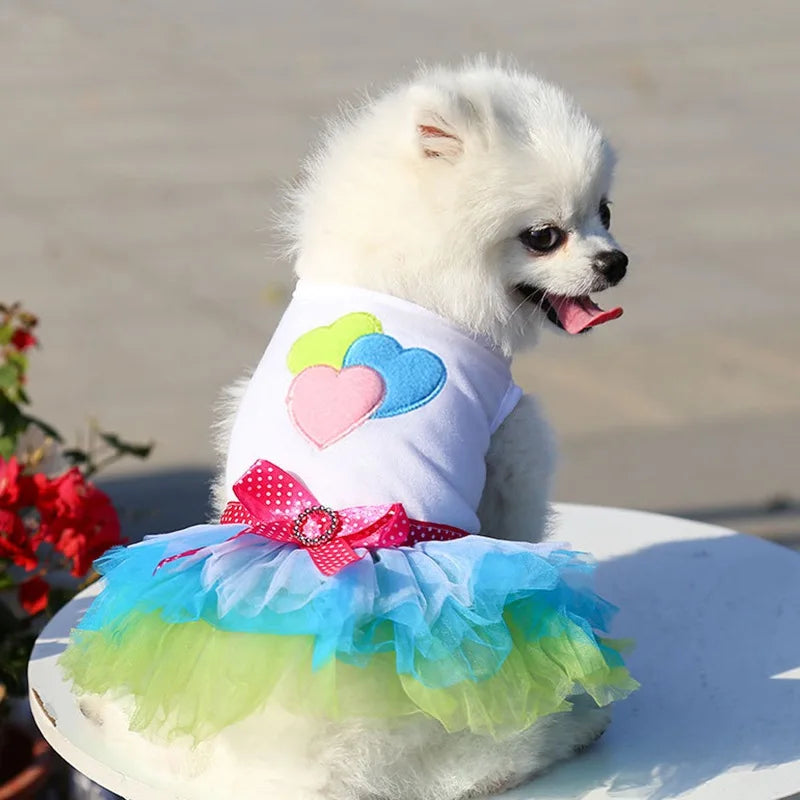 Sweet Dog Princess Dress for Small Dogs Spring Autumn Summer Puppy Dog Lace Tutu Dress Chihuahua Dog Skirt Pet Apparel Dog Dress