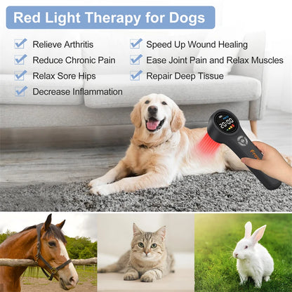 Portable Equine LLLT Laser Therapy for Dogs at Home Low Level Healing Laser for Pets Laser for Sports Injury Healing Relief