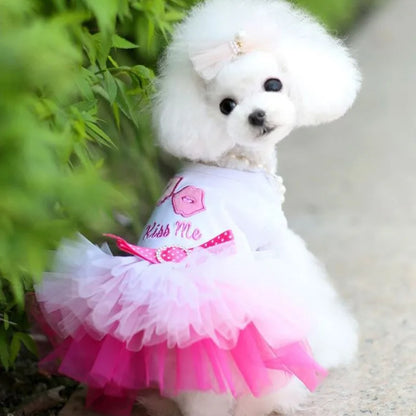 Sweet Dog Princess Dress for Small Dogs Spring Autumn Summer Puppy Dog Lace Tutu Dress Chihuahua Dog Skirt Pet Apparel Dog Dress